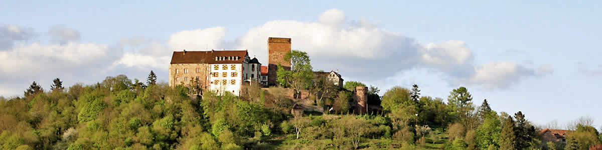 Gamburg in Werbach