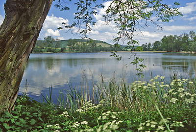 Aalkistensee