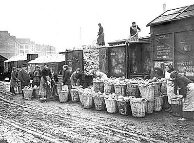 Teltower Kriegswirtschaftsgesellschaft 1917 Teltower Kriegswirtschaftsgesellschaft 1917