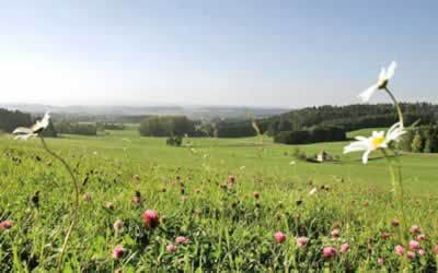 Landschaftserhaltungsverband