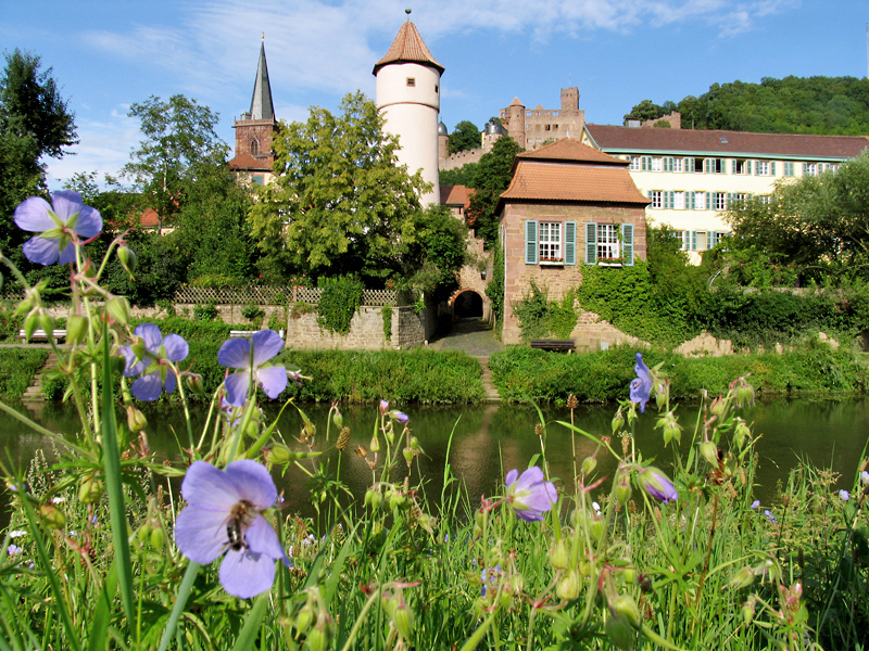 Kittsteintor und Burg in Wertheim