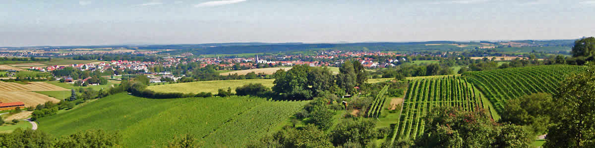 Weinbau im Kraichgau