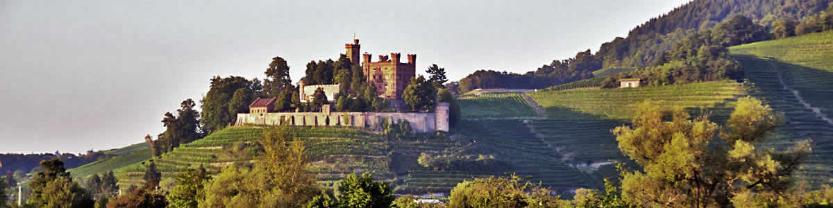 Schloss Ortenberg